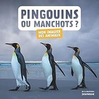 Couverture du livre Pingouins ou manchots ? - Juliette Einhorn