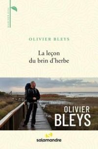 Olivier Bleys - La leçon du brin d'herbe