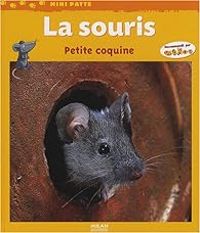 Stephane Frattini - La souris : Petite coquine