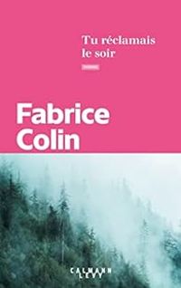 Fabrice Colin - Tu réclamais le soir