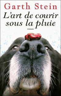 Garth Stein - ART DE COURIR SOUS LA PLUIE