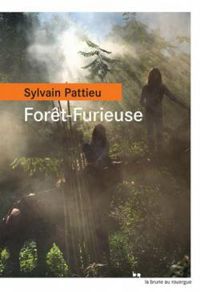 Sylvain Pattieu - Forêt-Furieuse