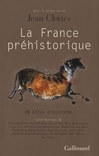 Jean Clottes - La France préhistorique, un essai d'histoire