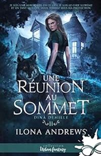 Ilona Andrews - Une réunion au sommet