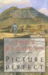 Jodi Picoult - Picture perfect