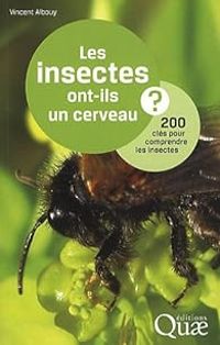 Vincent Albouy - Les insectes ont-ils un cerveau ? 