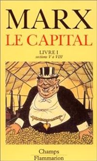 Karl Marx - Le Capital - Flammarion 