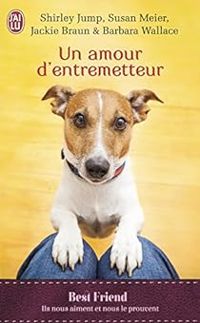 Shirley Jump - Barbara Wallace - Jackie Braun - Susan Meier - Un amour d'entremetteur