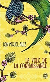 Miguel Ruiz - La voix de la connaissance 