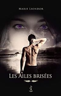 Couverture du livre Les Ailes brisées - Marie Liondor