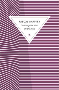 Pascal Garnier - Lune captive dans un oeil mort