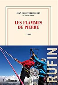 Jean Christophe Rufin - Les flammes de pierre