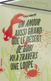 Tilman Rammstedt - Un amour aussi grand que le désert de Gobi vu à travers une loupe