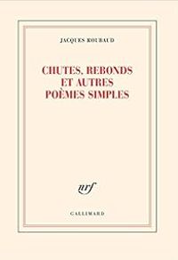 Jacques Roubaud - Chutes, rebonds et autres poèmes simples