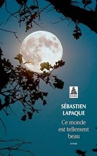 Couverture du livre Ce monde est tellement beau - Sebastien Lapaque