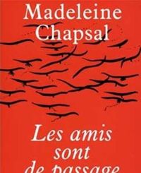 Madeleine Chapsal - Les Amis sont de passage