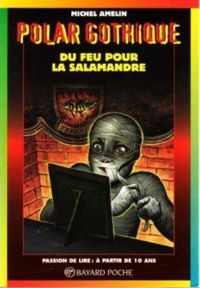 Couverture du livre Du feu pour la Salamandre - Michel Amelin