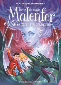 Couverture du livre Les terres de magie  - Cassandra Odonnell