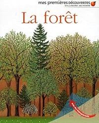 Rene Mettler - La forêt