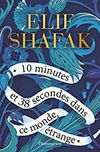 Couverture du livre 10 minutes et 38 secondes dans ce monde étrange - Elif Shafak - Dominique Goy Blanquet