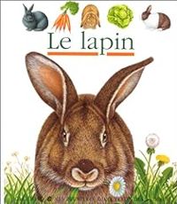 Pierre De Hugo - Le lapin