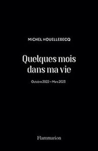 Michel Houellebecq - Quelques mois dans ma vie 