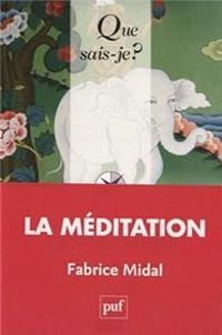 Fabrice Midal - Que sais-je ? La méditation