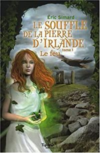 Eric Simard - Anne-claire Payet(Illustrations) - Le feu