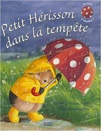 M Christina Butler - Petit Hérisson dans la tempête