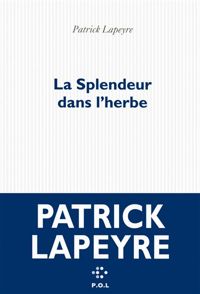 Patrick Lapeyre - La Splendeur dans l'herbe