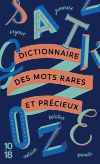 Couverture du livre Dictionnaire des mots rares et précieux - Jean Claude Zylberstein