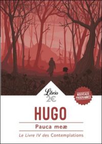 Victor Hugo - Pauca Meae