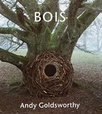 Couverture du livre Bois - Andy Goldsworthy - William Olivier Desmond - Terry Friedman