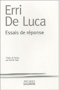 Erri De Luca - Essais de réponse