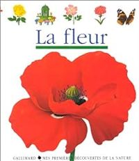 Claude Delafosse - Rene Mettler - La fleur