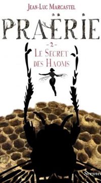 Jean Luc Marcastel - Le secret des Haoms