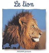 Natacha Scheidhauer Fradin - Le lion