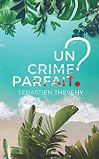 Sebastien Theveny - Un crime parfait ?