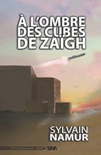 Sylvain Namur - À l'ombre des cubes de Zaïgh