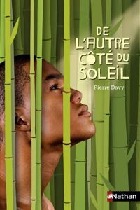 Pierre Davy - De l'autre côté du soleil