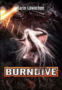 Karin Lowachee - Burndive