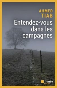 Ahmed Tiab - Entendez-vous dans les campagnes
