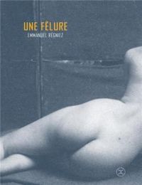 Emmanuel Regniez - Une fêlure