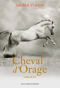 Lauren St John - Galop de feu