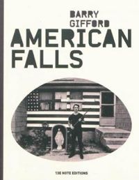 Barry Gifford - American Falls