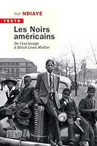 Pap Ndiaye - Les noirs américains 